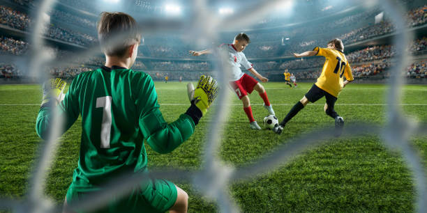 助推河南羽 助推河南羽